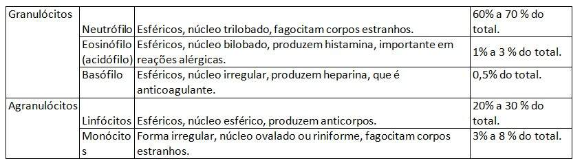 quais os 5 tipos de leucócitos e suas funções quais os 5 tipos de leucócitos e suas funções