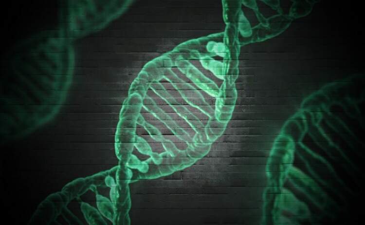 Filamento de DNA Filamento de DNA