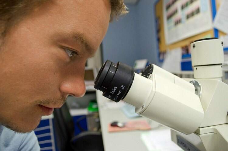 Homem observa microscópio Homem observa microscópio