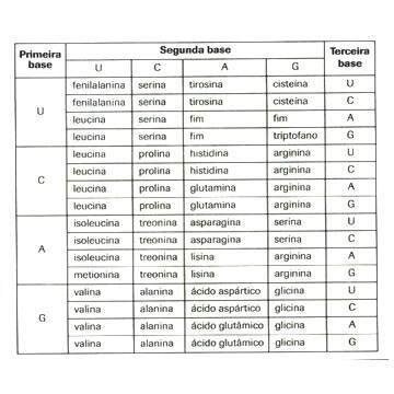 acidos nucleicos mais bolsas