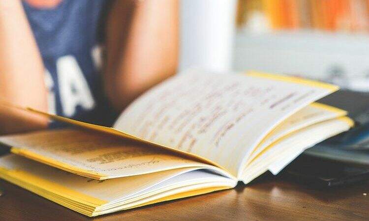Mulher  fazendo leitura