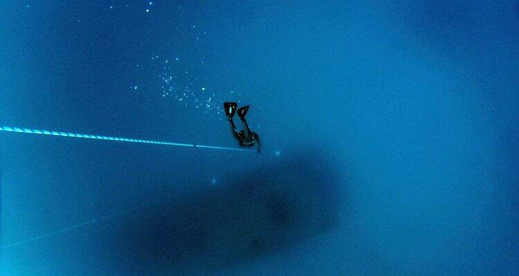 Tudo Sobre Mergulho Mais Bolsas