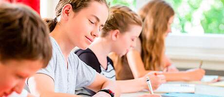 7° Ano - Ensino Fundamental II