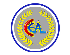 centro-educacional-ana-luzia.png