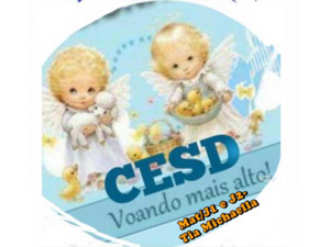 centro-educacional-souza-duclos.png
