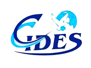 ides-colegio-e-curso.png