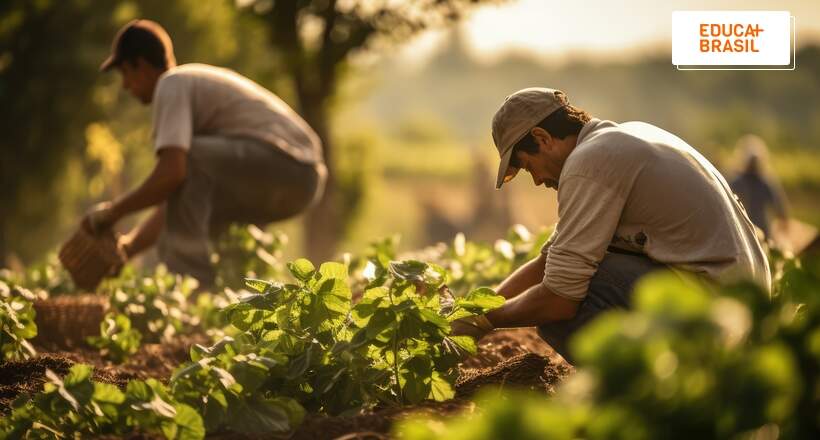 Agroecologia pode ser o caminho para enfrentar a fome e a crise climática