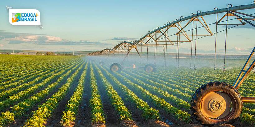Agronomia é a graduação que oferece estágios com melhores salários