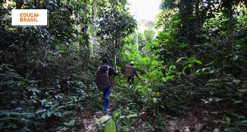 Amazônia Legal e mercado de trabalho