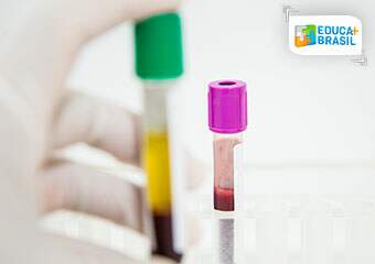 Biomedicina: com amplos campos de atuação, curso está em alta no mercado