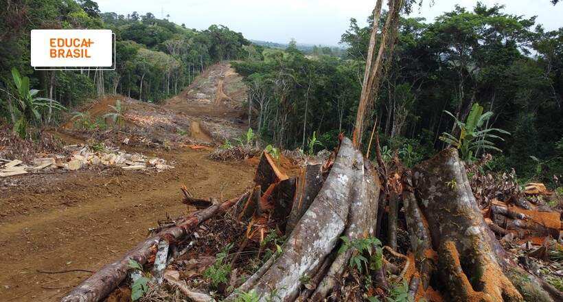 Biopirataria: como a prática impacta o meio ambiente? | Educa Mais Brasil
