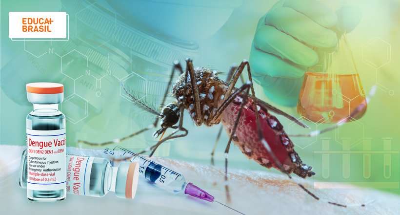 Brasil irá distribuir vacina contra a dengue em 2024
