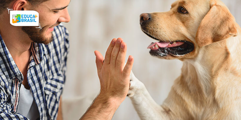 Carreira: 3 profissões para quem gosta de animais