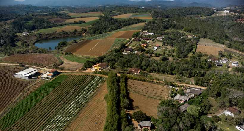 Cinturão verde: proteção natural contra o calor urbano