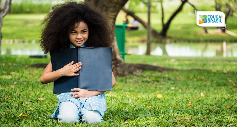 Como é formada a Educação Básica brasileira?