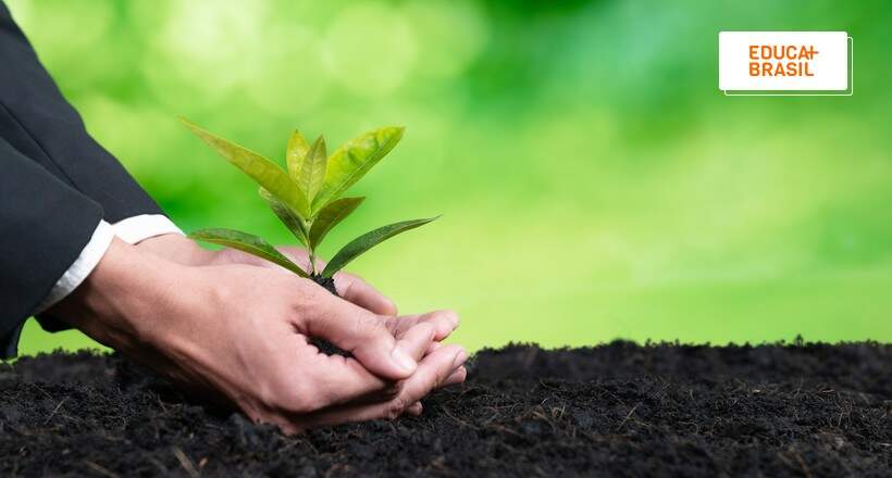 Como se tornar um voluntário do Greenpeace?