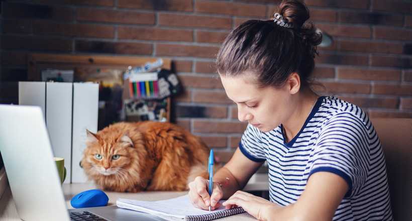 Cursos técnicos para quem deseja trabalhar em home office