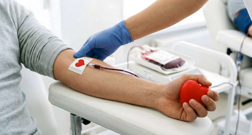 Da coleta à transfusão: a jornada do sangue doado