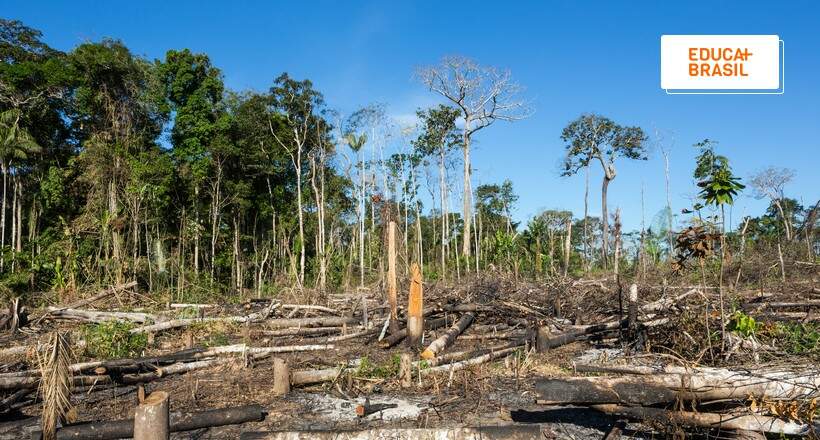 Destruição da Amazônia é tema de palestra do UGB