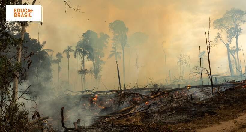 Dia da Amazônia: por que queimadas são problema recorrente na região?