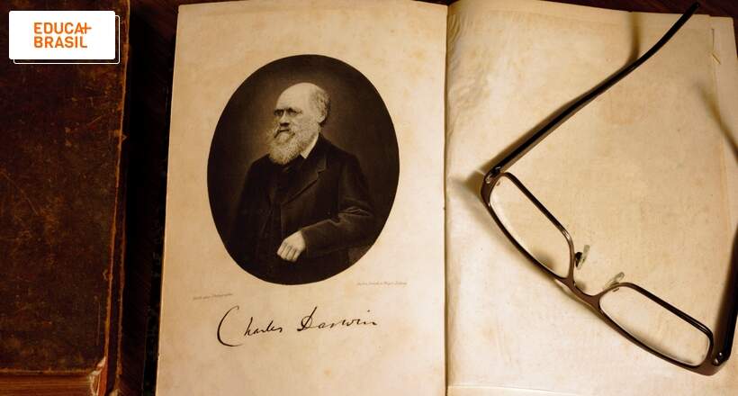 Dia de Darwin é celebrado em 12 de fevereiro