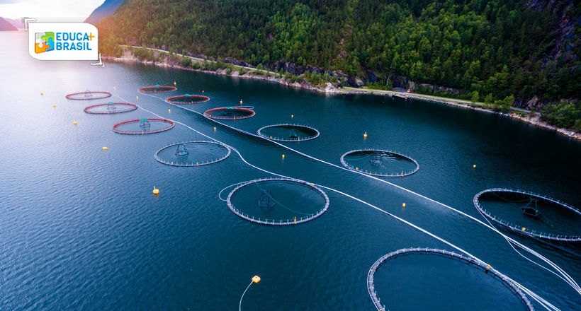 Energia dos oceanos é uma alternativa sustentável para geração de eletricidade