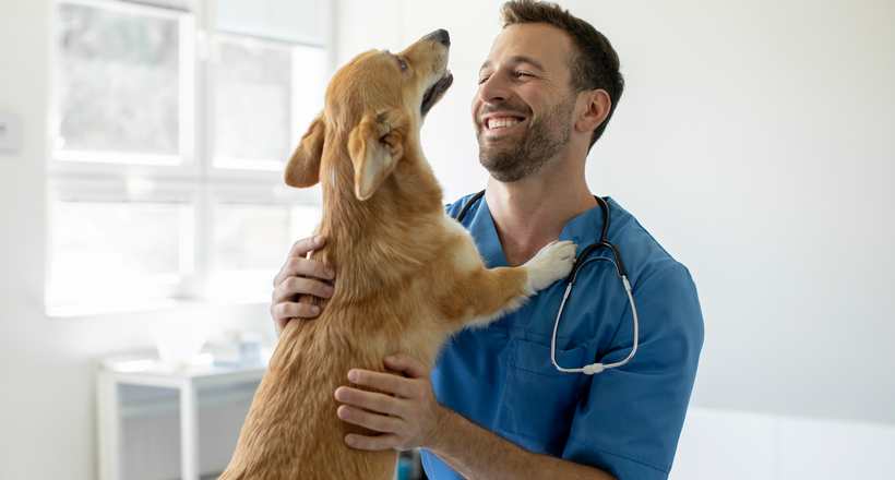 Exame de habilitação pode ser exigido a médicos veterinários