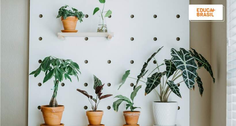 Já ouviu falar de pegboard? Entenda o que é e para que serve