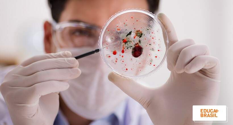 Langya henipavirus: o que é esse novo vírus identificado na China?