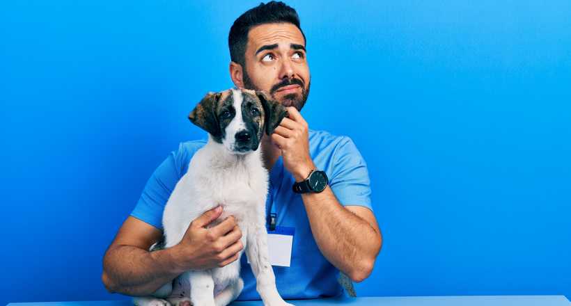 Médico-veterinário tem hífen? Entenda a grafia correta