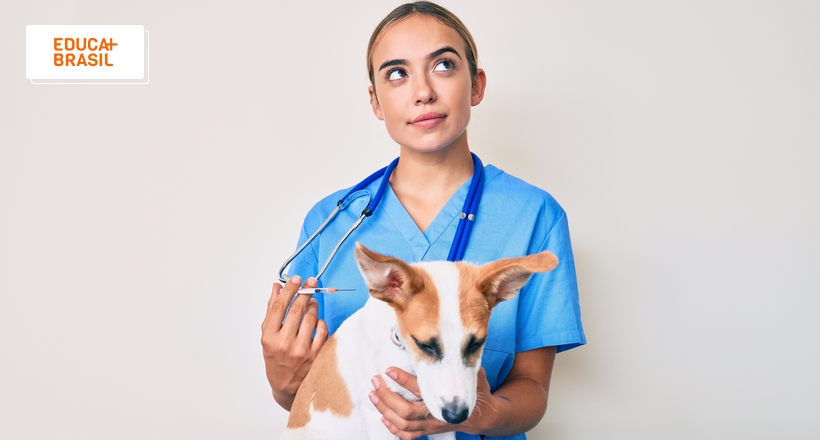 Melhores faculdades de Medicina Veterinária segundo RUF