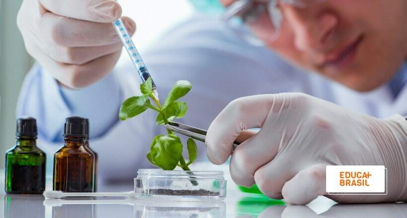 O que é Biotecnologia e como atuar na área? Descubra aqui