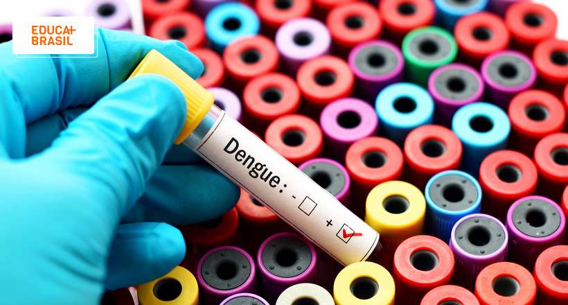 O que é o Dia D de Combate à Dengue no Brasil?