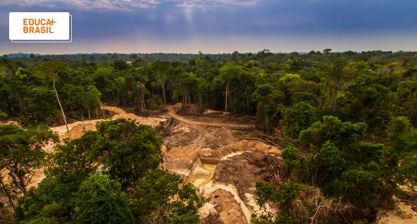 O que é ponto de não retorno da Amazônia?