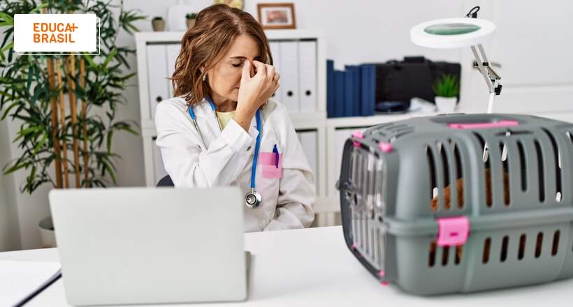 Pesquisa aponta que estresse é um dos maiores desafios da veterinária