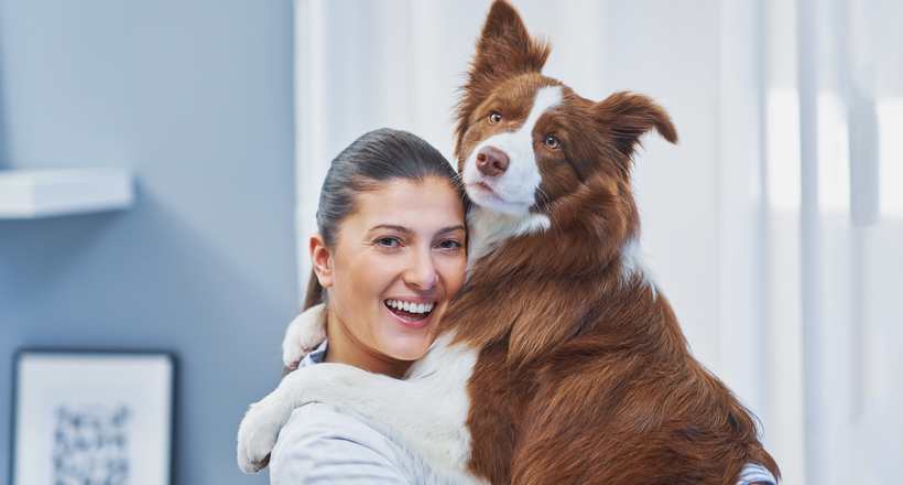 Piso salarial de veterinários avança no Senado
