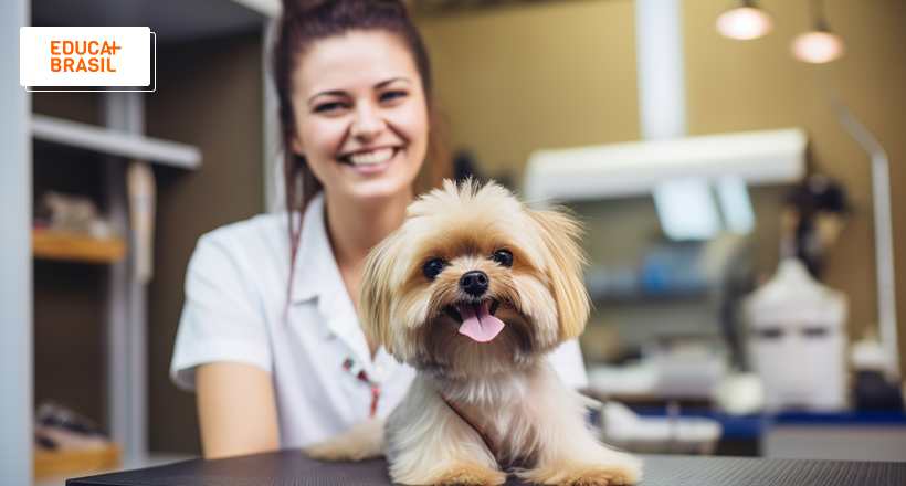 Profissão de tosador de pets pode ser regulamentada por lei federal