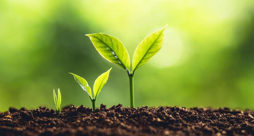 Projeto define atribuições de técnicos em meio ambiente