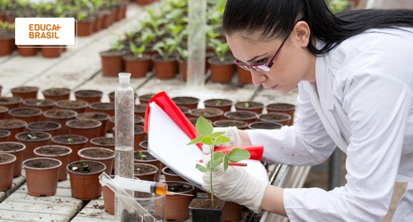 Quanto tempo dura a faculdade de Agronomia? Confira! | Educa Mais Brasil