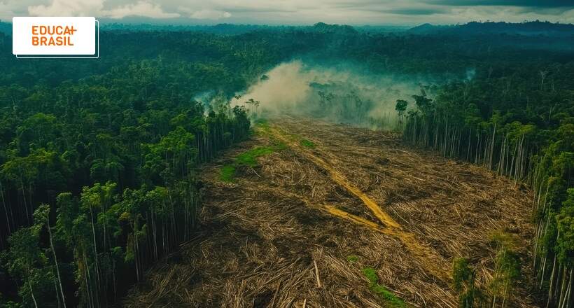 Quase todo desmatamento na Amazônia é para abrir pastos, revela MapBiomas
