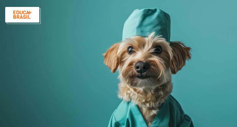 Quem é considerado o pai da Medicina Veterinária?