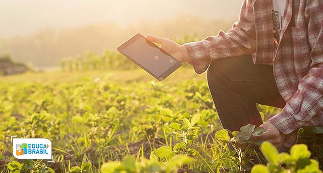 Saiba como é a área de Agronomia