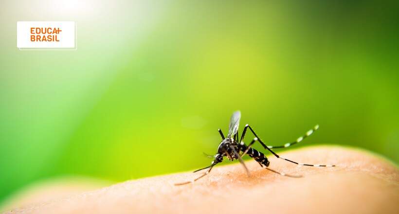 Sobe o número de óbitos por dengue no Brasil