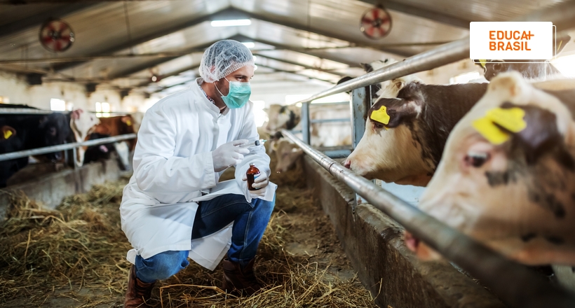 Veterinário agropecuário tem uma formação específica?