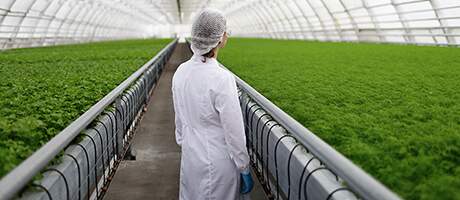 ENGENHARIA AGRÍCOLA E AMBIENTAL